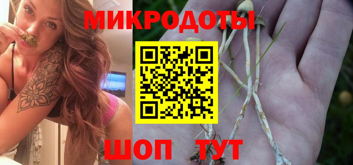 Вязники  Псилоцибиновые грибы Magic Shrooms  Вход с VPN 